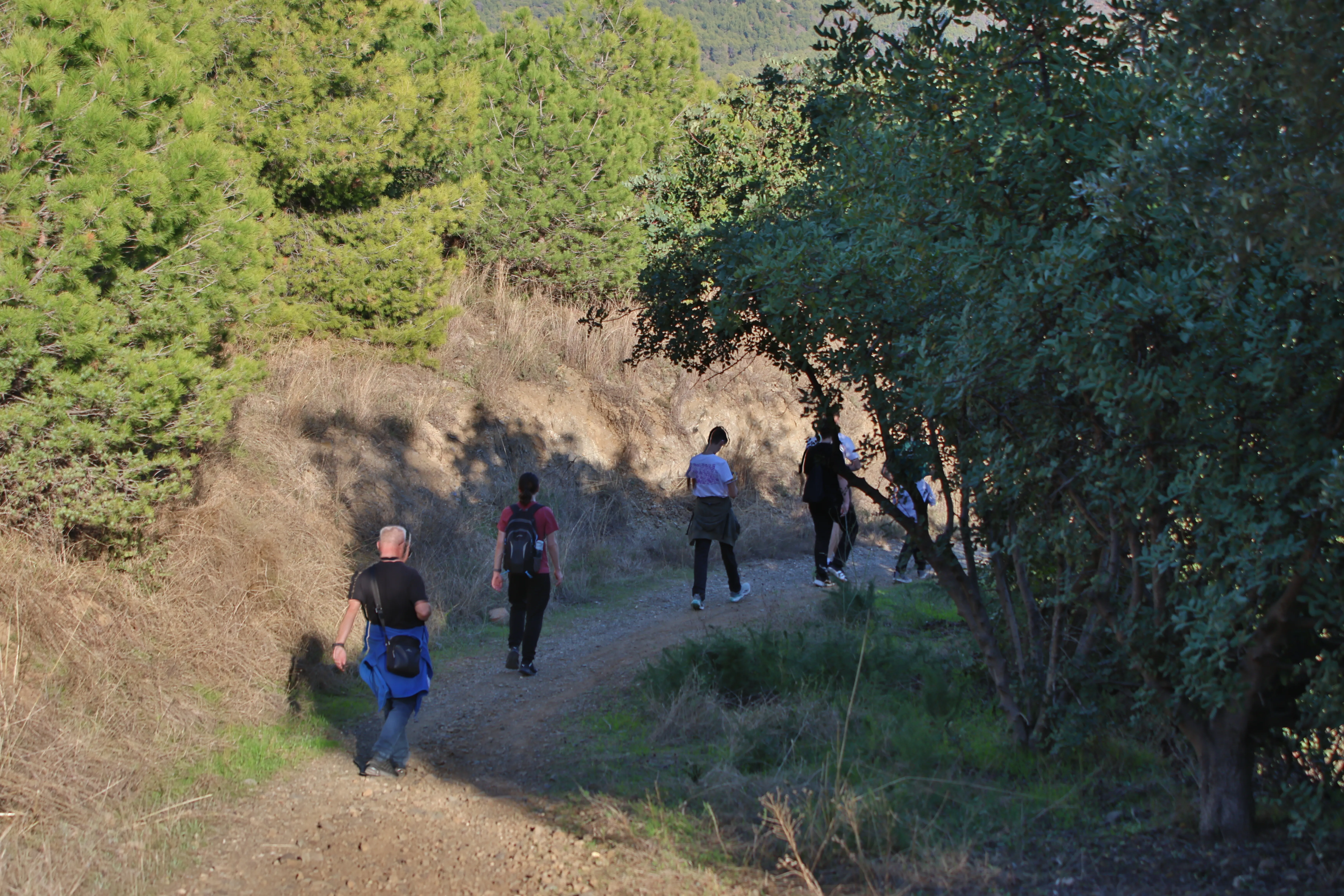 Tamron 28-300mm F3.5-6.3 (EF) - AI4A5954.webp